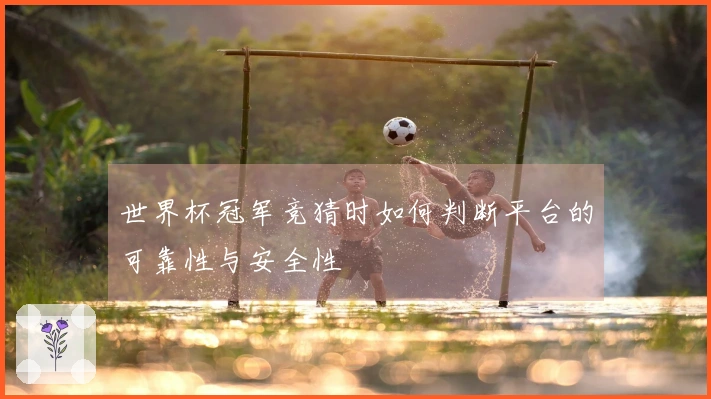 世界杯冠军竞猜时如何判断平台的可靠性与安全性