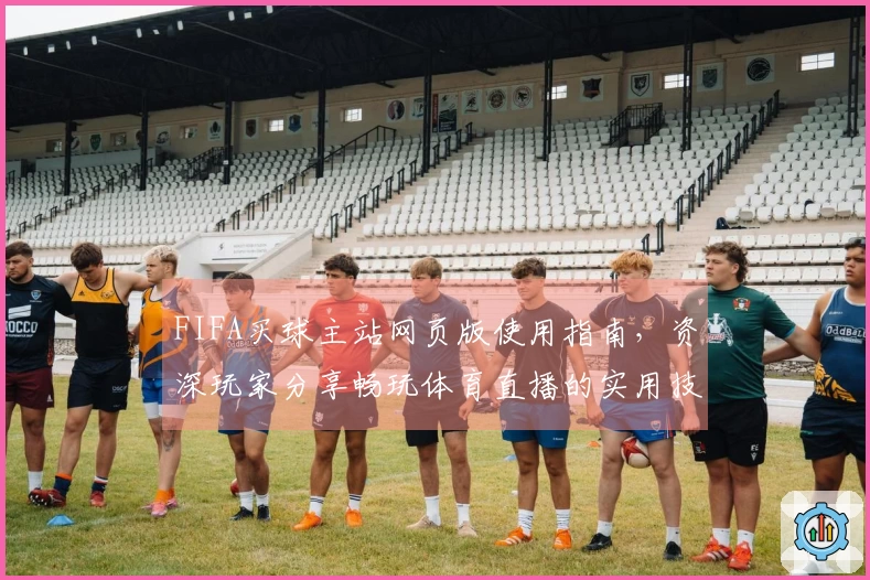 FIFA买球主站网页版使用指南，资深玩家分享畅玩体育直播的实用技巧