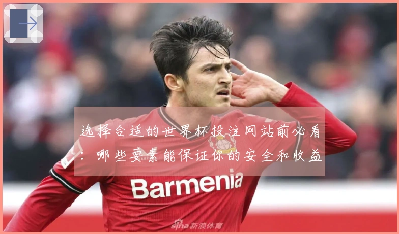 选择合适的世界杯投注网站前必看：哪些要素能保证你的安全和收益？