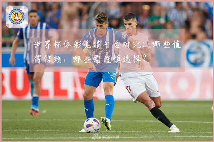世界杯体彩竞猜平台对比：哪些值得信赖，哪些需谨慎选择？