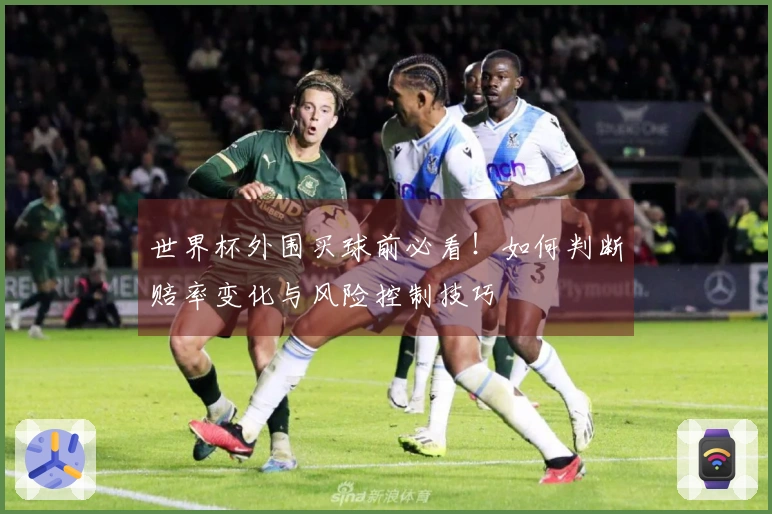 世界杯外围买球前必看！如何判断赔率变化与风险控制技巧