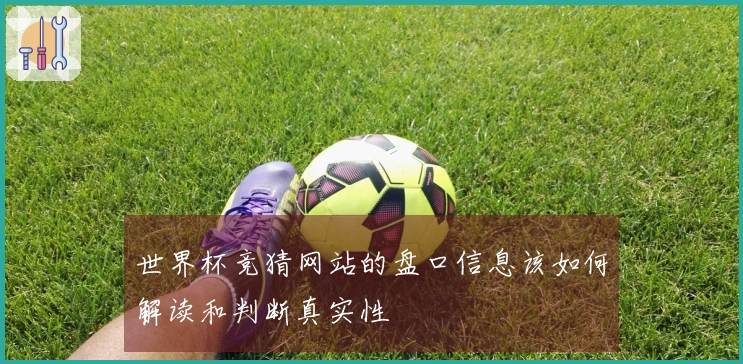 世界杯竞猜网站的盘口信息该如何解读和判断真实性