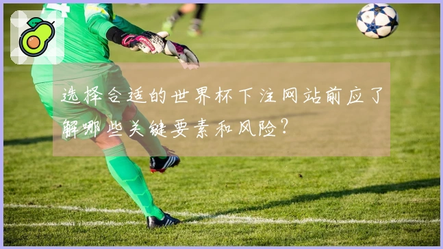 选择合适的世界杯下注网站前应了解哪些关键要素和风险？