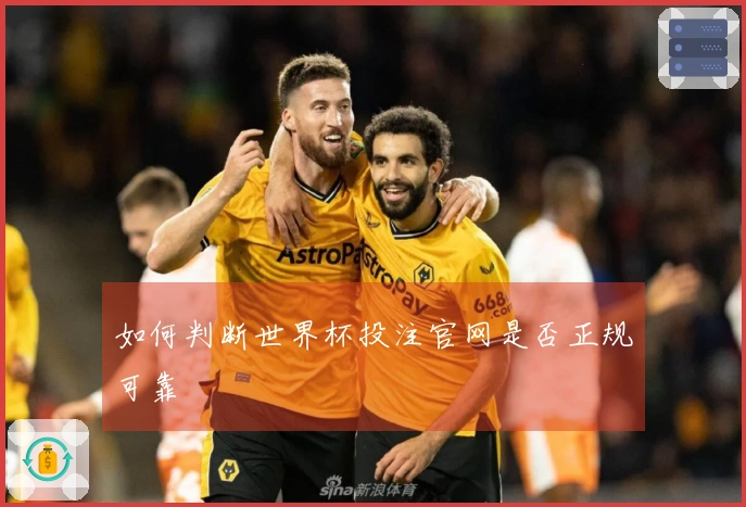 如何判断世界杯投注官网是否正规可靠