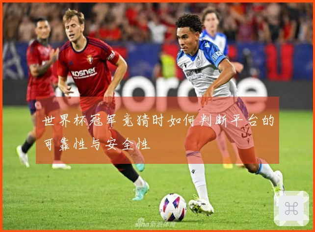 世界杯冠军竞猜时如何判断平台的可靠性与安全性