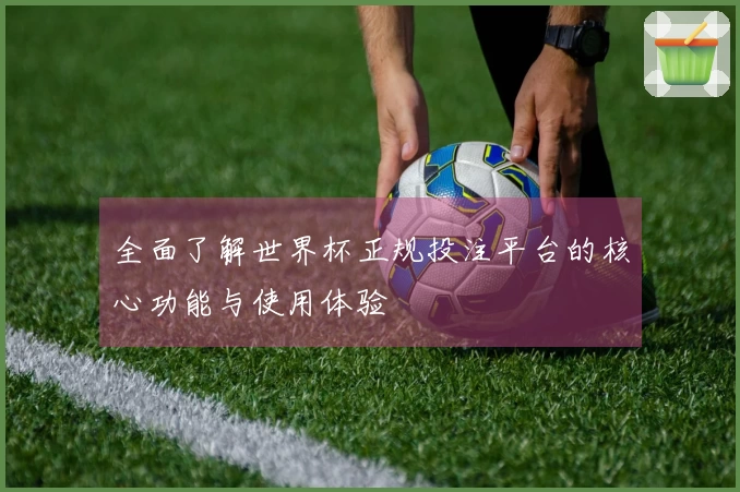 全面了解世界杯正规投注平台的核心功能与使用体验