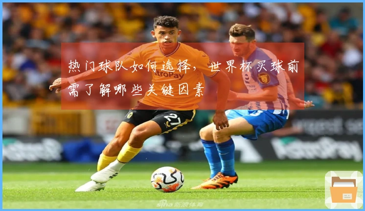 热门球队如何选择，世界杯买球前需了解哪些关键因素