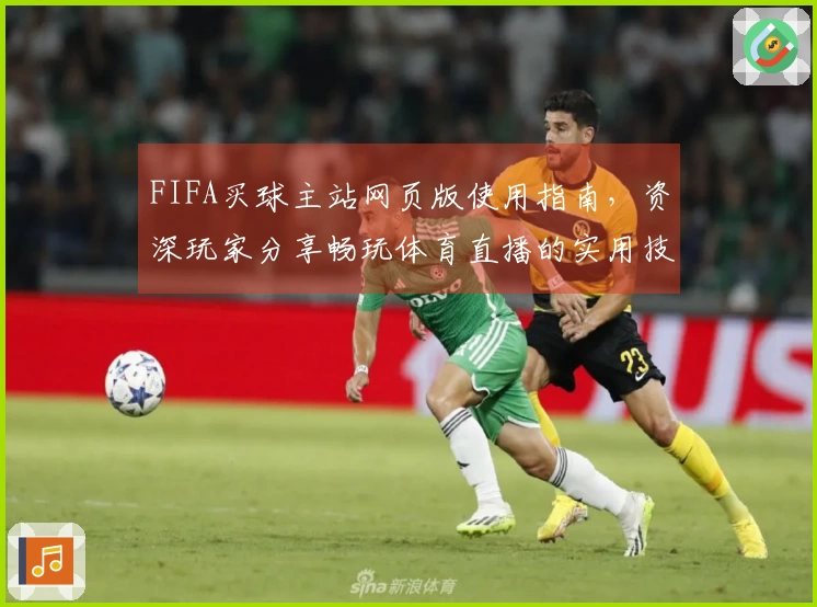 FIFA买球主站网页版使用指南，资深玩家分享畅玩体育直播的实用技巧