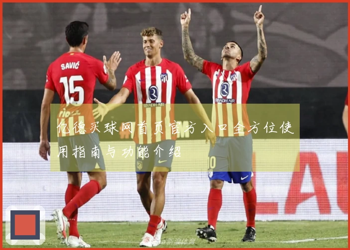 亿德买球网首页官方入口全方位使用指南与功能介绍